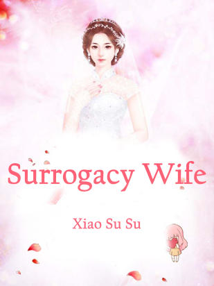 Surrogacy Wife